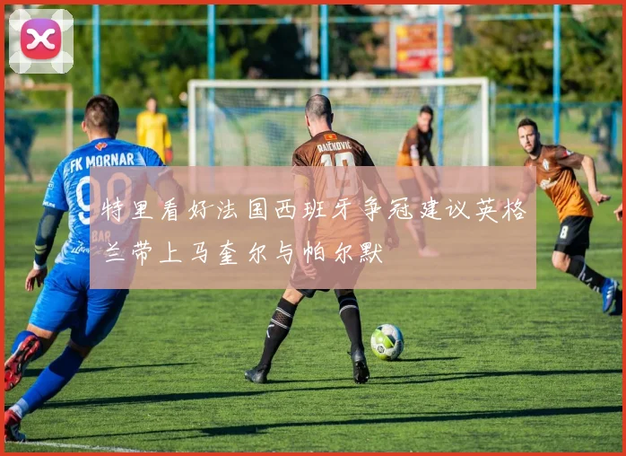 特里看好法国西班牙争冠建议英格兰带上马奎尔与帕尔默